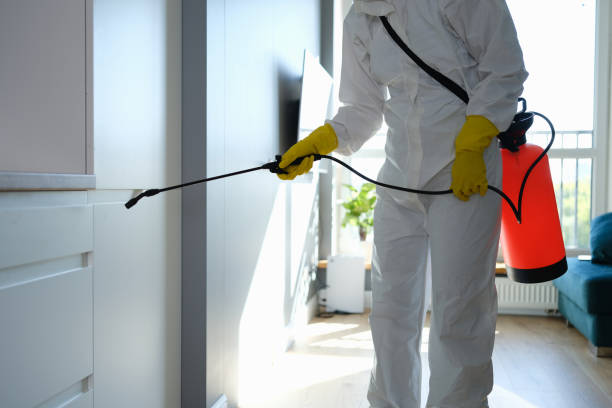 Professional Mold Removal in Beachwood, OH